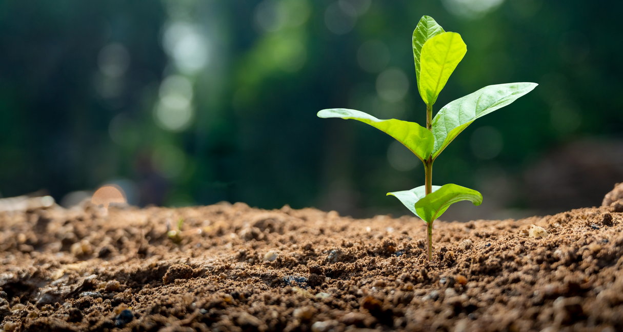 Battery-Powered Activity Ideas for an Eco-Friendly Earth Day